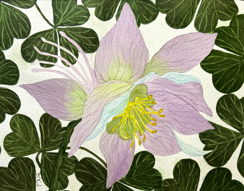 PAINTING WATERCOLOR 11X14 AND BLACK MAT 16X20 FLOWER COLUMBINE LAVENDER BLUE ART