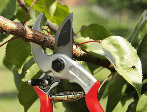 FORBICE DA POTATURA CASTELLARI IN ALLUMINIO MOD. UNIVERSALE MANO DX/SX LINEA PRO - Imagen 2 de 2