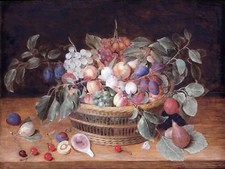 TASTY STILL LIFE by J. Hulsdonck plum Tile Mural Kitchen Backsplash Ceramic 10x8