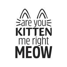 #386 Darice Embossing Folder Essentials ARE YOU KITTEN ME RIGHT MEOW  # 30094097