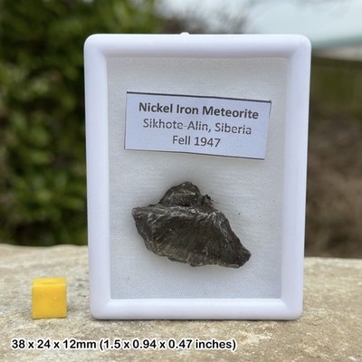 Sikhote-Alin Meteorit Eisen Nickel Meteorit 1947 Russland Einschlag Fall Präparat