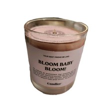 Bloom Baby Bloom - Ryan Porter