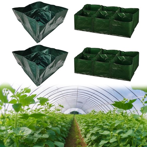 Pot à Plantes En Tissu De 1 Gallon Avec Poignées - Joual Vert