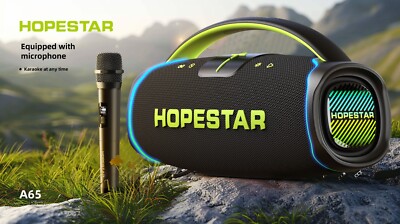 300W Portable Bluetooth Speaker with Handle, one Microphone- Black