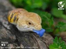Animal Heavenly Body Tiliqua Scincoides Blue-Tongued Skink Statue