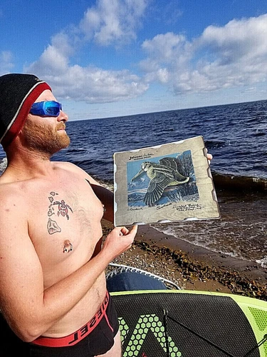 Vintage 1950s Johnson Seahorse Boat Motor Sign with Woodcock outboard oil/ gas