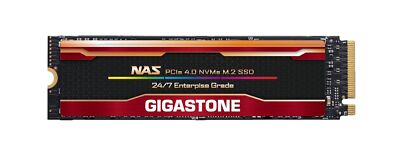 Gigastone Enterprise 2TB NAS SSD 24/7 Turbo Speed Cache for