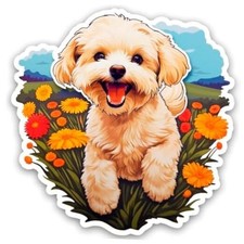 Maltipoo Sticker Decal for Car or Truck Windows Plus 3.45in x 3.5in Small 