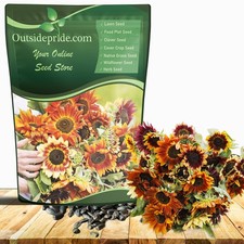 1 LB Sunflower Seeds - Sunflower Autumn Beauty Flower Seed