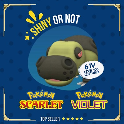 Hippowdon Shiny or Non   6 IV Competitive Customizable Pokémon Scarlet Violet