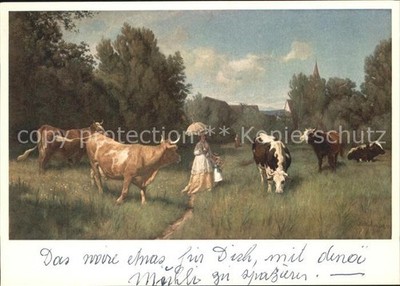 Koller Rudolf cows in pasture