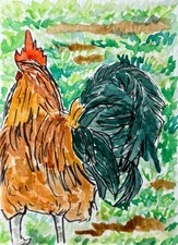 ACEO Original Art Card Rooster Bird Watercolor Painting 2.5 x 3.5 in