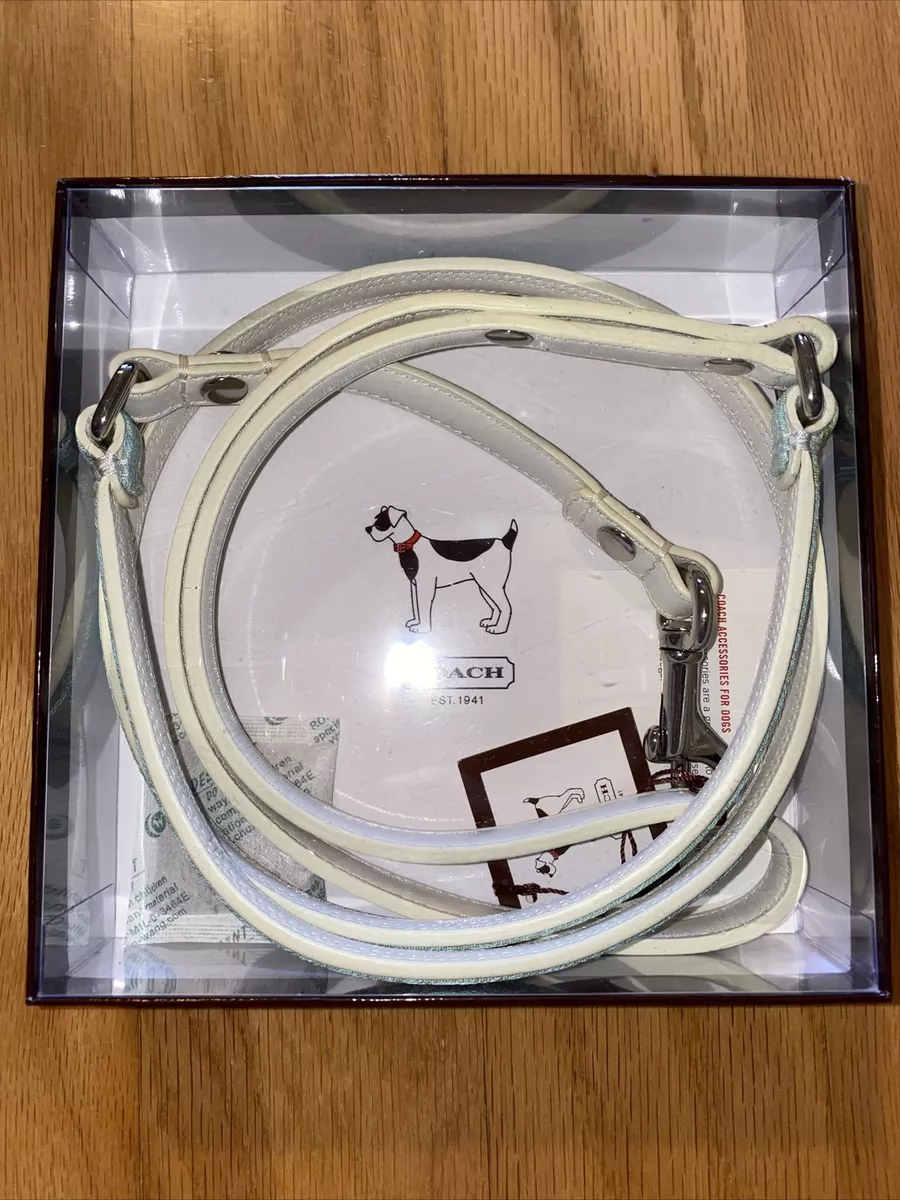 Coach dog collar and leash top