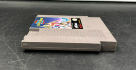 Double Dragon II: The Revenge (Nintendo Entertainment System, NES) w/ Sleeve