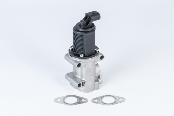 710952R Wahler Agr-Ventil FüR Alfa Romeo,Fiat,Opel,Saab,Suzuki,Vauxhall-image