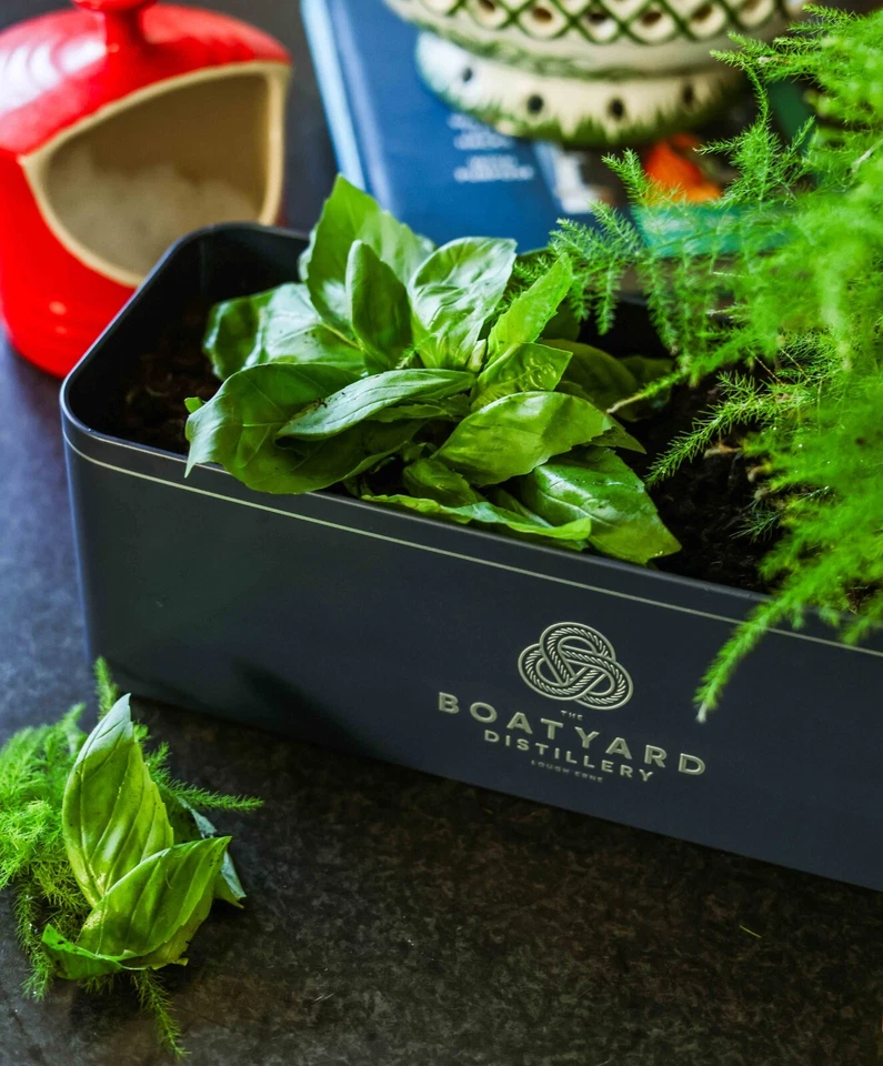Boatyard Distillery Double Gin Planter – Reusable Metal Herb / Flower Planter - Image 3 of 4