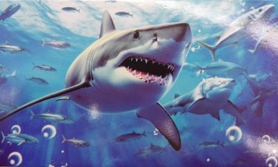 White Shark Aquatic Velour Beach Bath Towel 30x60 100% Cotton