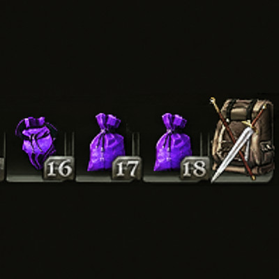 Guild Wars 1 Taschen Paket Bags Package 15 Slots Bag x2 10 Belt heavy equpment