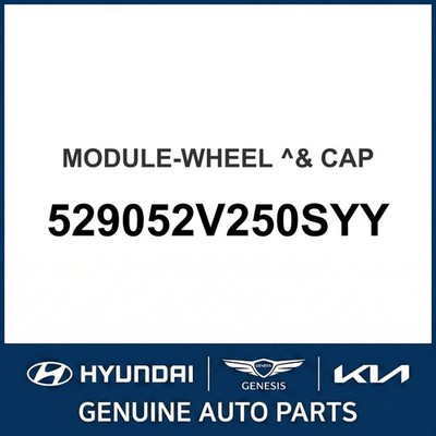 2011-2014 Hyundai Veloster Modul - Rad & Kappe OEM Neu 529052V250SYY