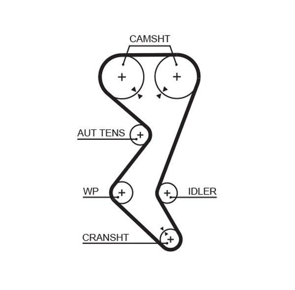 GATES-OE 5528XS Timing Belt for CITROËN,FIAT,LANCIA,PEUGEOT,PGO
