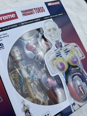 SUPREME Male & Female Anatomy Model Set Red | 2018 | 4D Human RARE