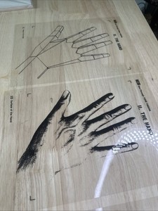 ICS Form Finders- Images Of “the Hand” Transparency See Through Projector Sheets