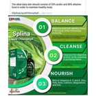 EDMARK Splina Liquid Chloropyll 500ml