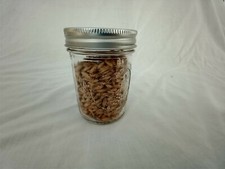 1/2 PINT Mushroom Jars READY  Sterilized Substrate Grain Grow