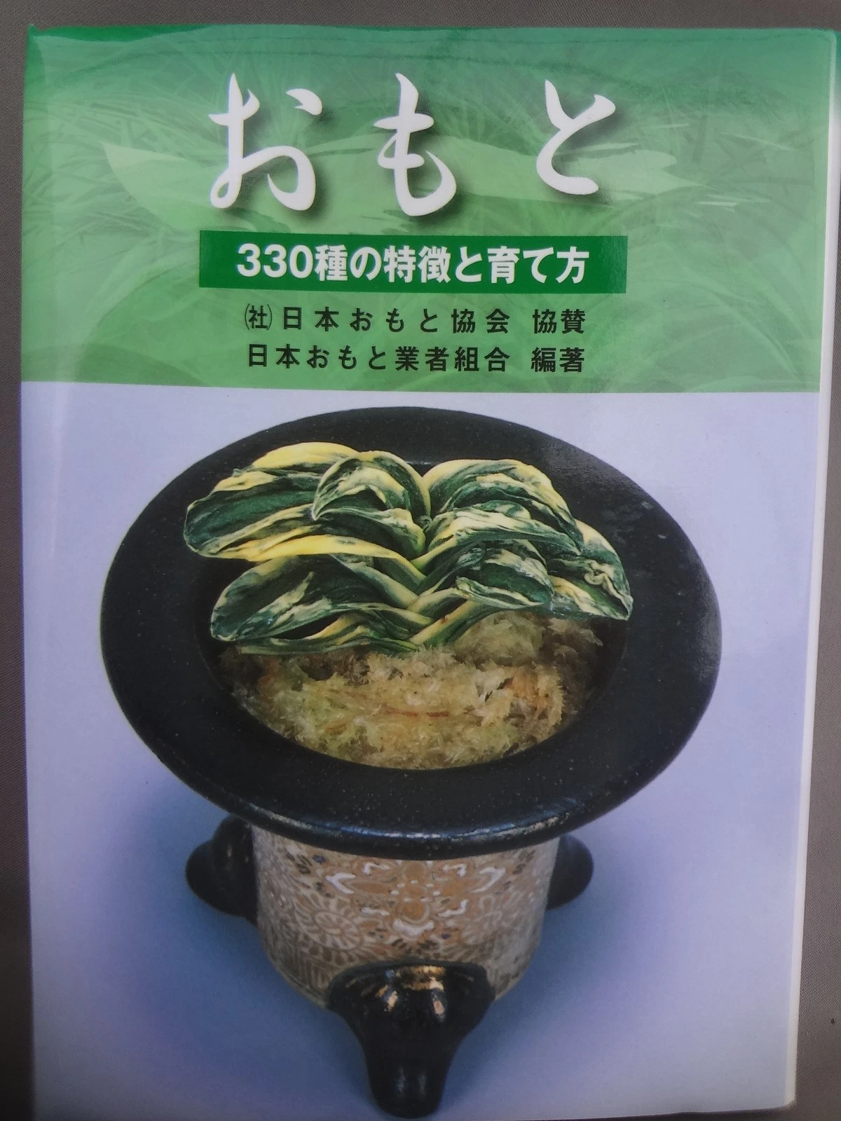 Rohdea japonica 330 kinds Complete Book - Out of print