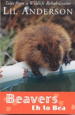 Beavers Eh to Bea : Tales from a Wildlife Rehabilitator Paperback