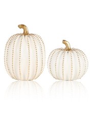 Set of 2 White  Gold Decorative Pumpkins   Resin Fall Harvest Table Centerpi...