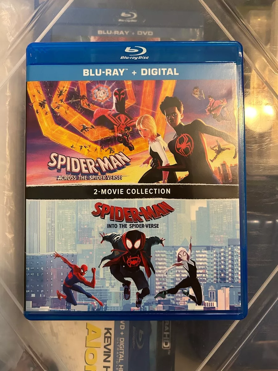 Spider-Man: Across The Spider-Verse (DVD + Digital Copy)