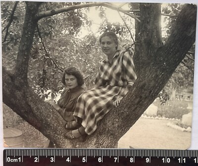 Two Pretty Cute Young Women Charming Attractive Ladies Nice Girls Old Photo