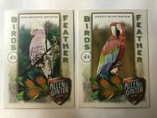 Lot (2) 2021 Topps Allen & Ginter Birds of a Feather #BOF-7 & 8 Macaw cockatoo 