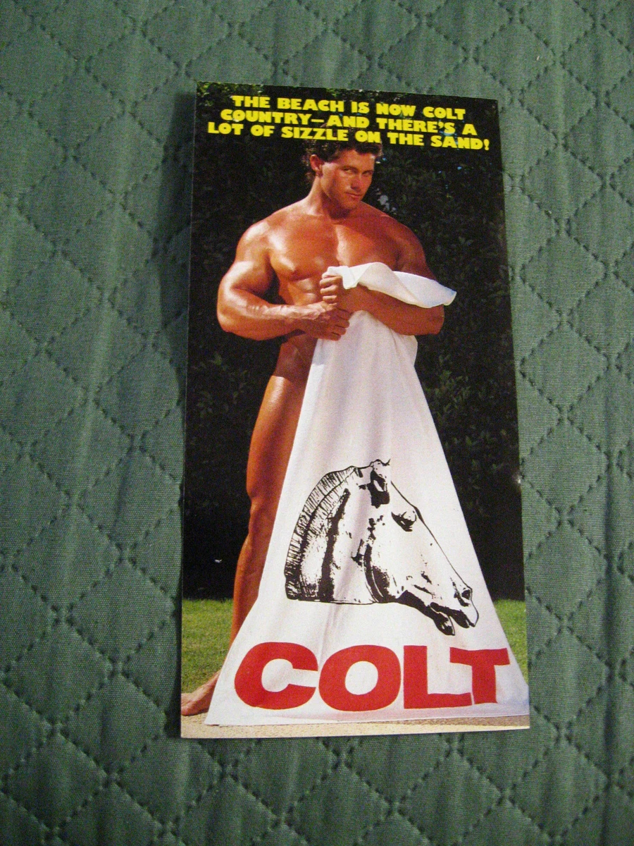 Colt Studios Gay Erotica 1989 Beach Towel Flyer - Vintage Porn Star Male  Model | eBay