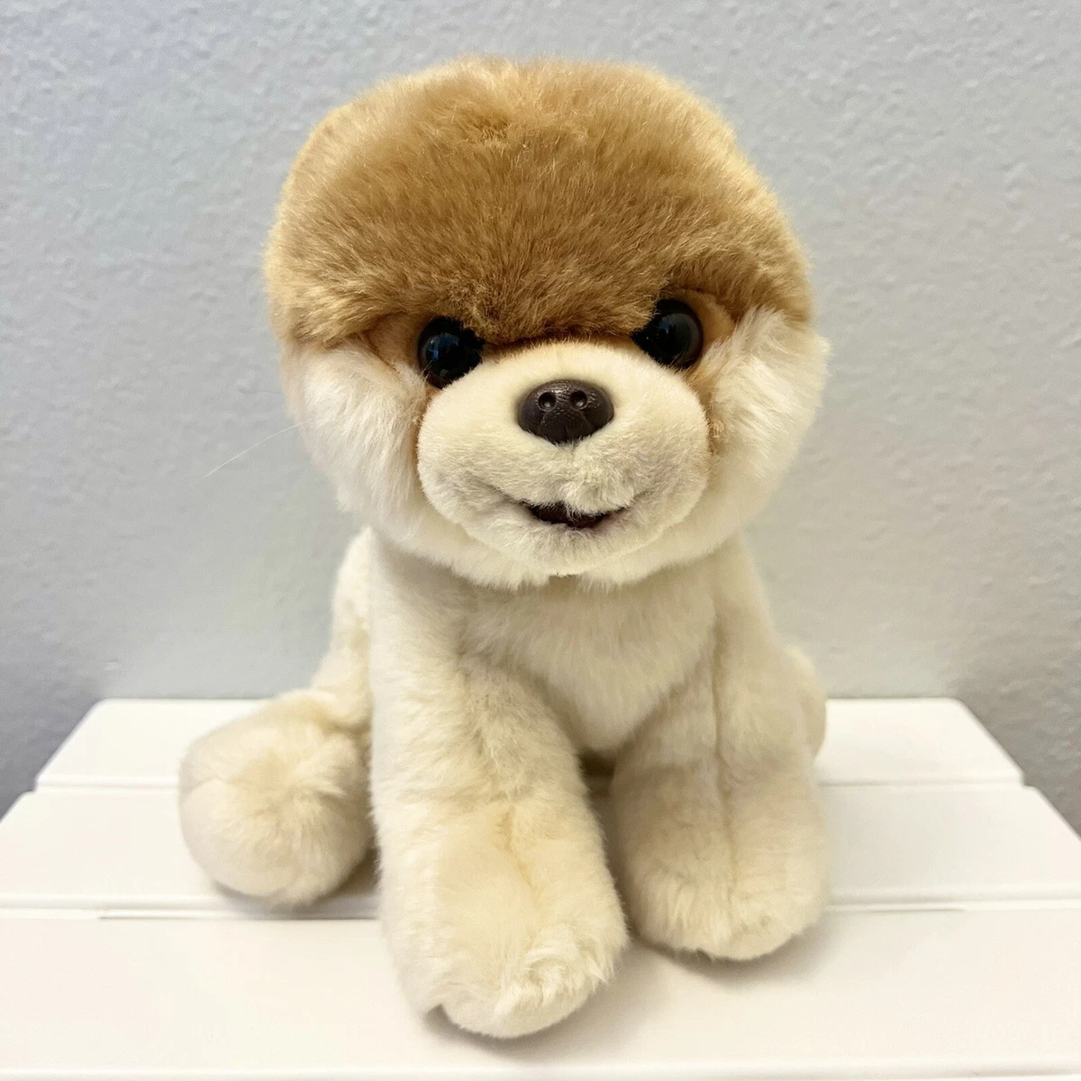 Boo pomeranian cheap toy