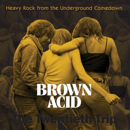 Brown Acid - The Twentieth Trip (Various Artists) 