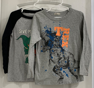 Lot of 2:  Excellent Condition Kids Dinosaur Long Sleeve Pullover Size 4T