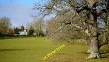 Photo 6x4 Homend Park, 1 Stretton Grandison View past oak trees towards a c2015