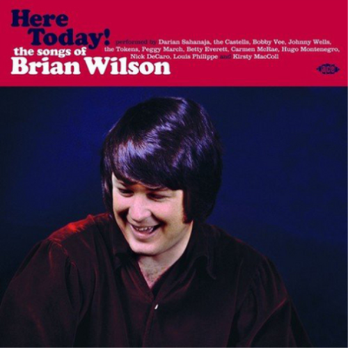 Various Artists Here Today!: The Songs of Brian Wilson (Vinyl) 12" Album - Picture 1 of 1