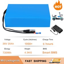 E Bike Akku 36V 20Ah Li-Ion Batterie Pedelec Elektrofahrrad Akkupack + Ladegerät