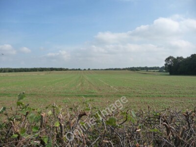 Photo 6x4 Going green Well/SE2681 Large field off Well Lane. c2010