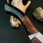 8.8" D2 Steel Hunting Knife Full Tang Fixed Blade Hybrid Handle + Sheath — photo 10