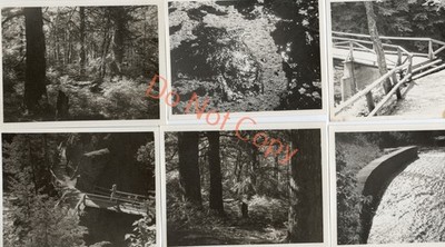  6x Victoria Park Truro Nova Scotia Kanada um 1943 Fotos 4,2 x 3,1 (1)