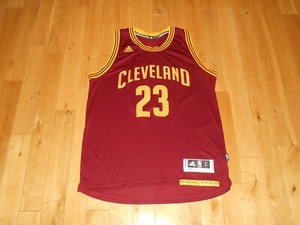 adidas lebron jersey