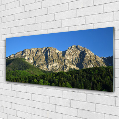 Acrylglasbilder Wandbilder aus Plexiglas  125x50 Gebirge Wald Natur
