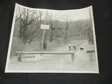 1980s Vintage E.D. Barnes Lehigh Valley Pro Photo #517 Couple & Dogs Nature Ctr
