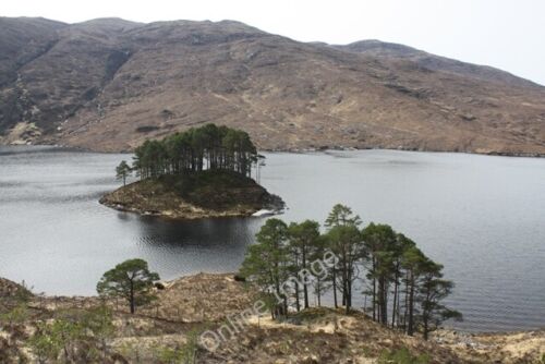 Foto 6x4 Eine Insel in Loch Monar Creag an Fhir-e\u00f2in c2011 - Bild 1 von 1