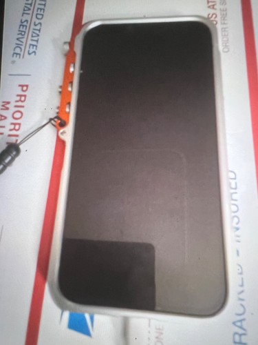 Apple iPhone 13 Pro Max 128GB in Sierra Blue - Fully Unlocked - Fair Condition