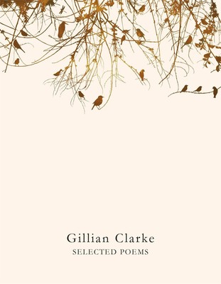 Selected Poems | Gillian Clarke | Englisch | Taschenbuch | 2016 | Pan Macmillan